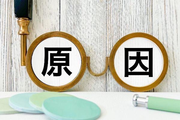 越境・越境物とは？原因やリスク、対処法と売却時の注意点まで解説